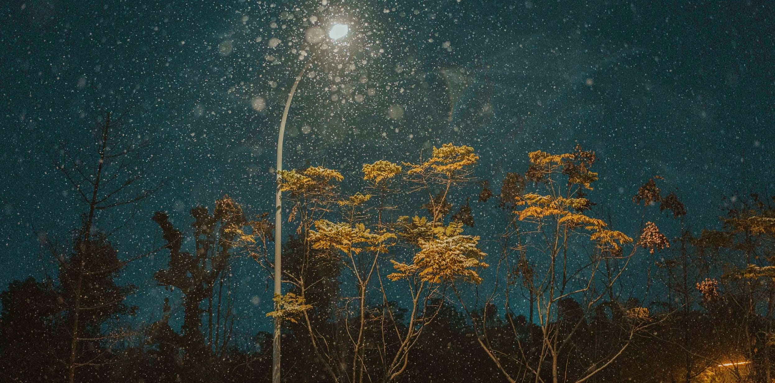 Delete，从头再来